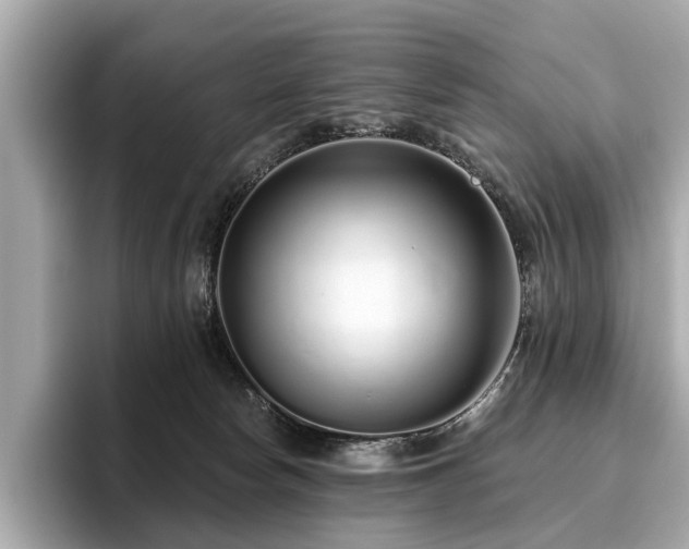 X0000096630178200802051115