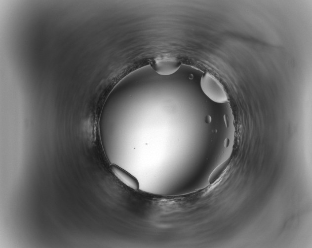 X0000096630180200802051115