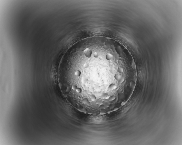 X0000096630181200802051115