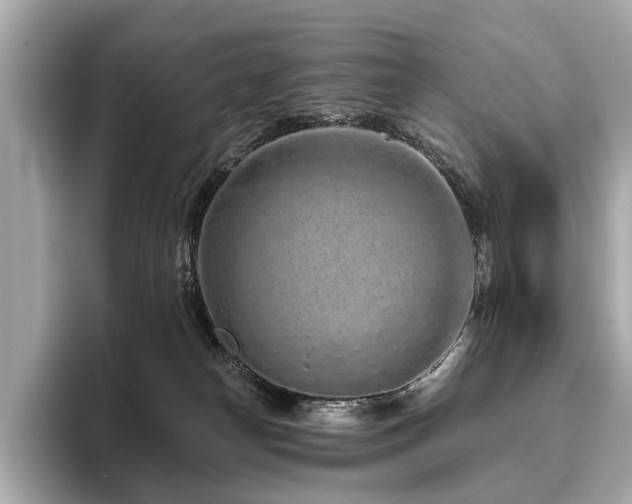 X0000096630182200802051115