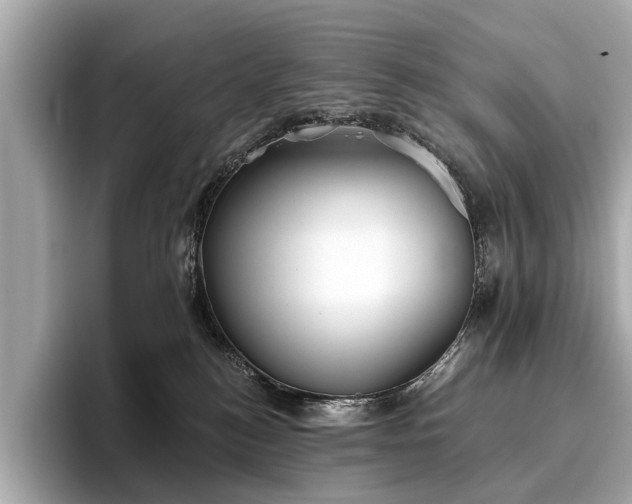 X0000096630184200802051115
