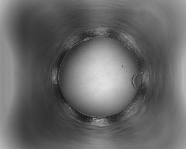 X0000096630185200802051115