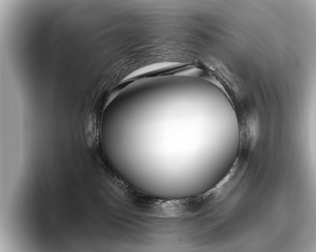 X0000096630186200802051115