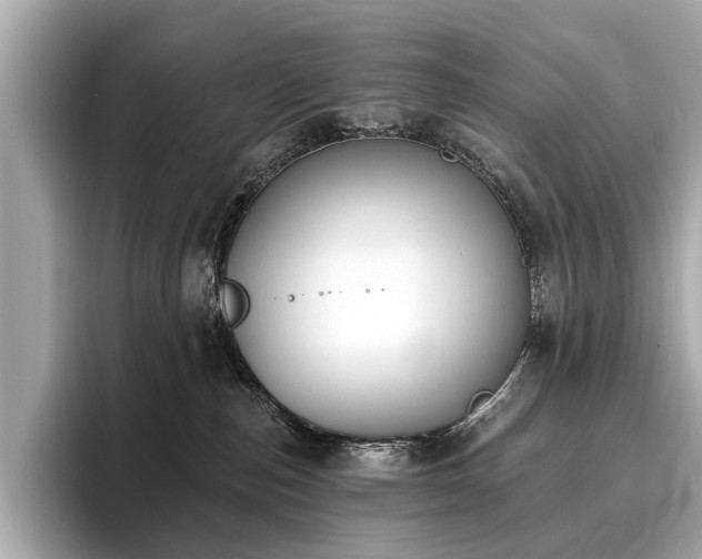 X0000096630187200802051115