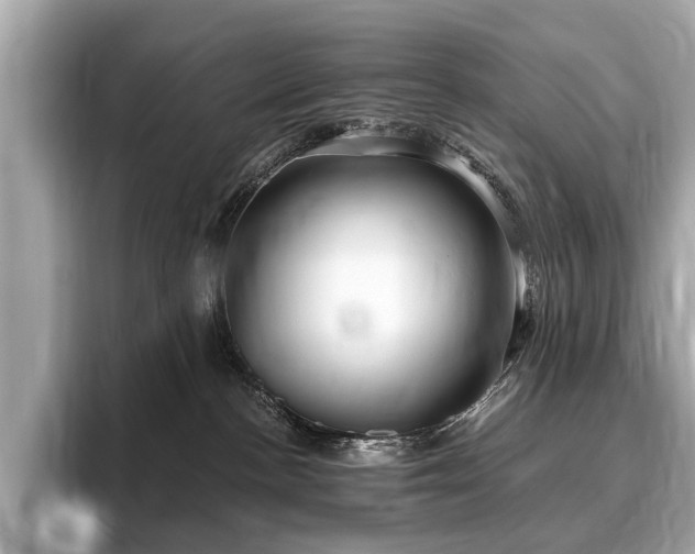 X0000096630188200802051115