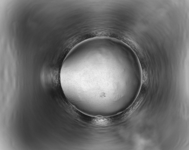 X0000096630189200802051115