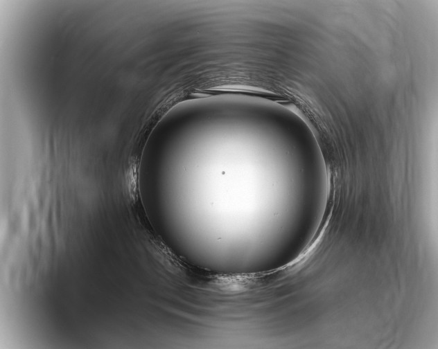 X0000096630190200802051115