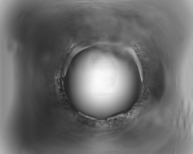 X0000096630192200802051115