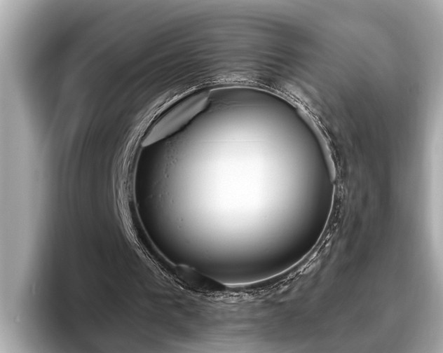 X0000096630193200802051114