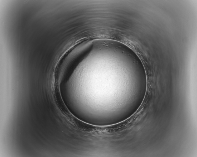 X0000096630194200802051114