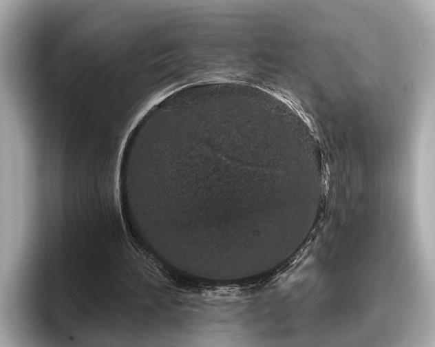 X0000096630196200802051114
