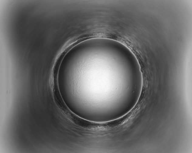X0000096630198200802051114