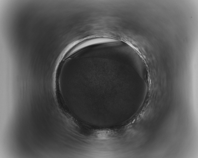 X0000096630200200802051114