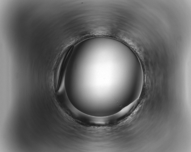 X0000096630201200802051114