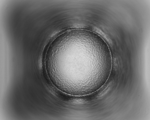 X0000096630203200802051114