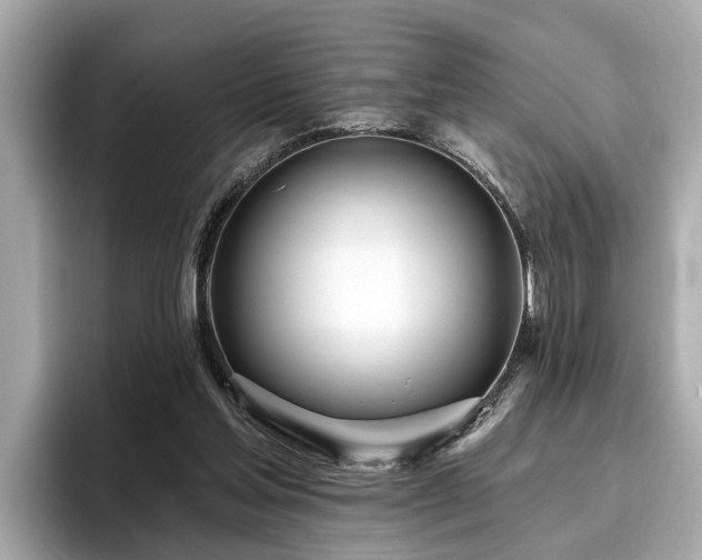 X0000096630205200802051114