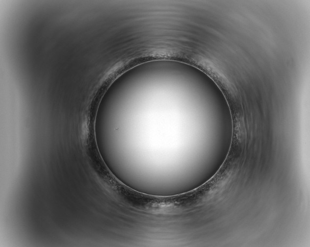 X0000096630208200802051114