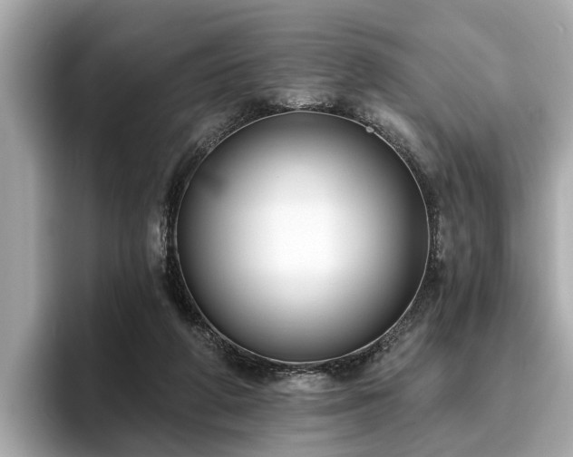 X0000096630210200802051114