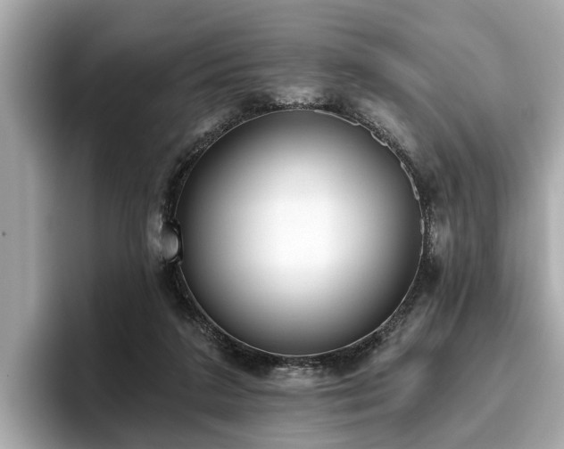 X0000096630211200802051114