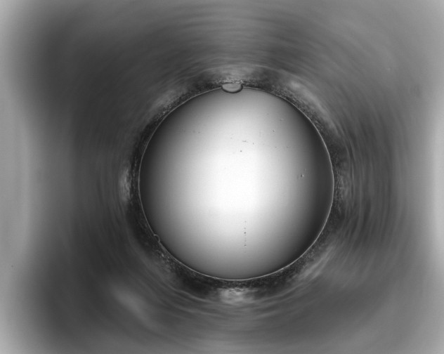 X0000096630216200802051114