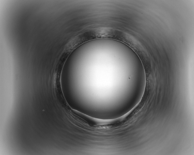 X0000096630217200802051114