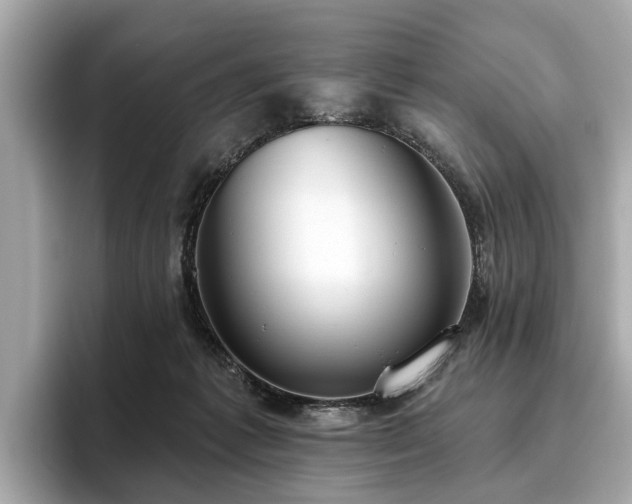 X0000096630221200802051114