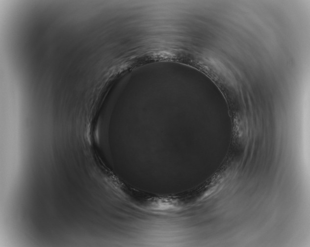 X0000096630223200802051114