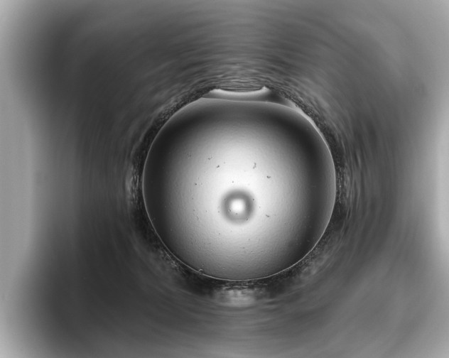 X0000096630228200802051114