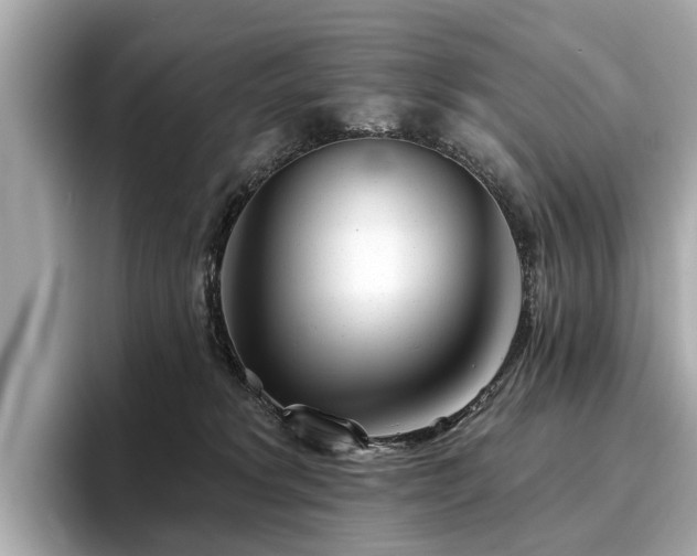 X0000096630229200802051114