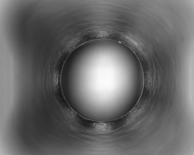 X0000096630230200802051114
