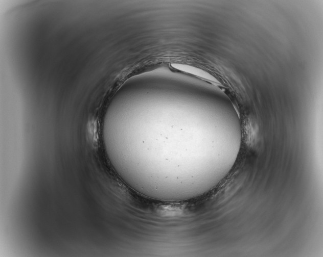 X0000096630232200802051114