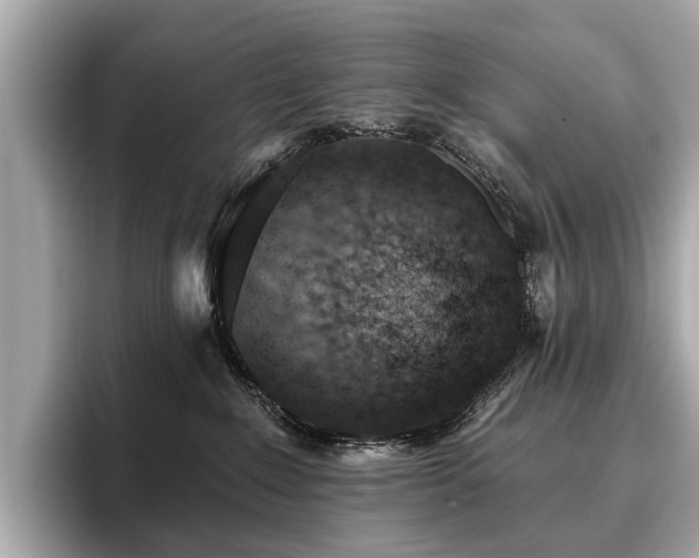 X0000096630235200802051114