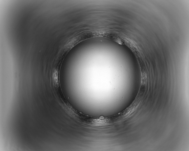 X0000096630238200802051114