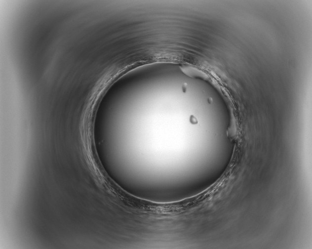 X0000096630241200802051113