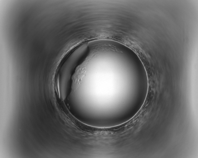 X0000096630242200802051113