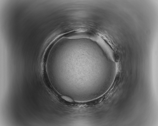 X0000096630243200802051113