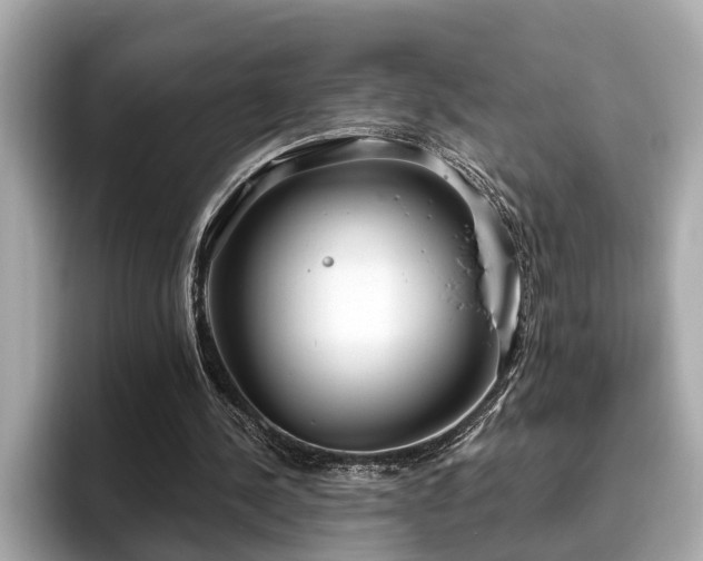 X0000096630244200802051113