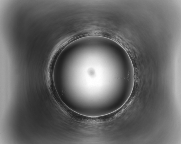 X0000096630245200802051113