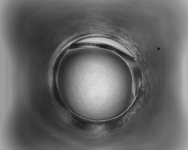 X0000096630247200802051113