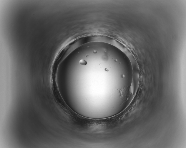 X0000096630248200802051113