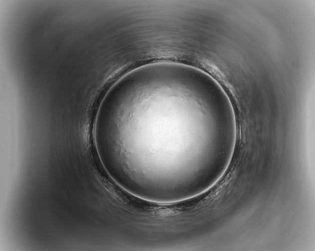 X0000096630249200802051113