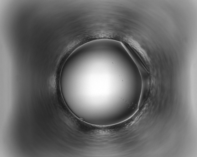 X0000096630250200802051113