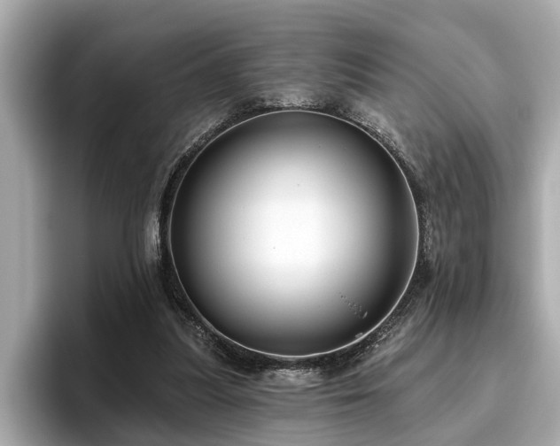 X0000096630251200802051113