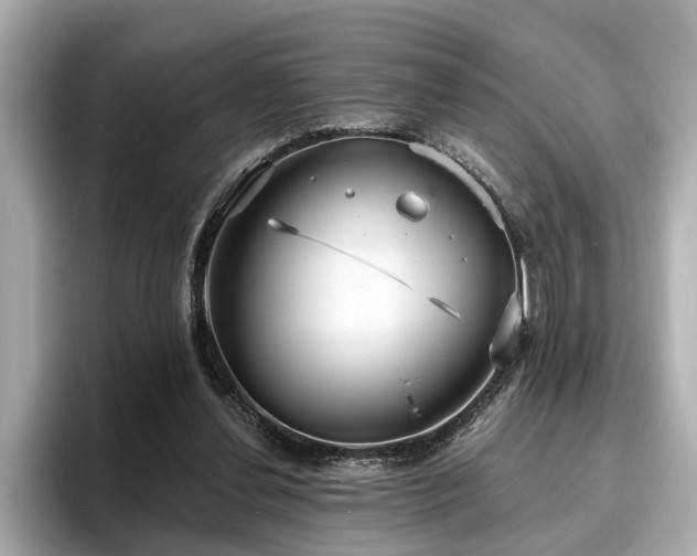 X0000096630252200802051113