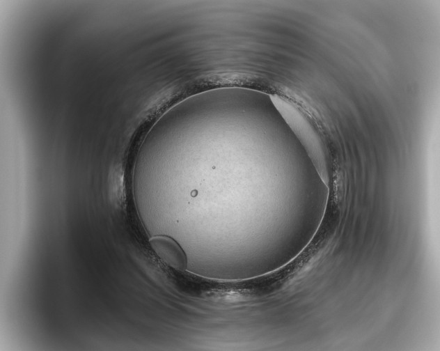 X0000096630254200802051113