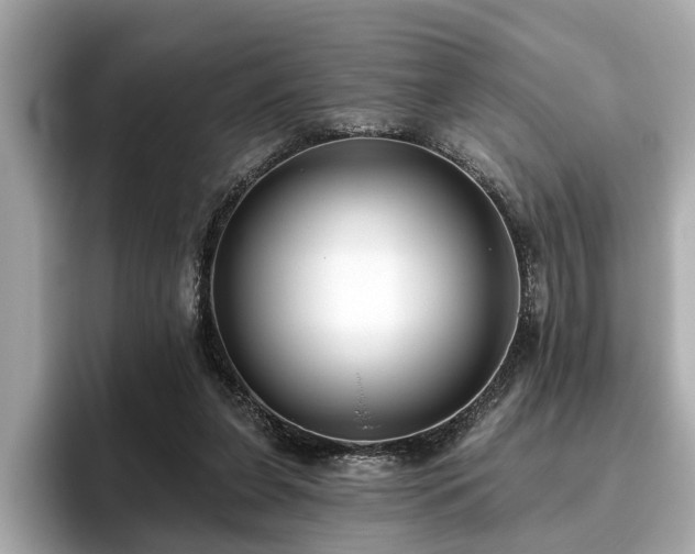 X0000096630255200802051113