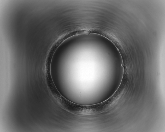 X0000096630256200802051113