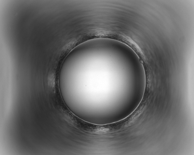 X0000096630257200802051113