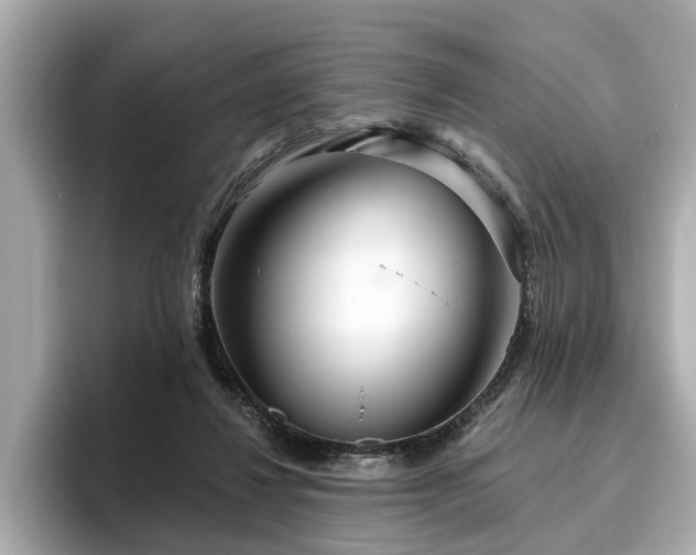 X0000096630260200802051113
