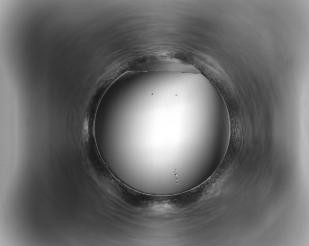 X0000096630262200802051113
